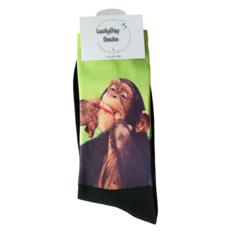 Computer Chimpansee