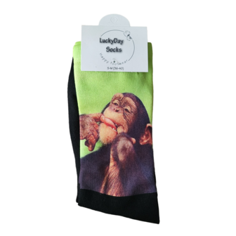 Computer Chimpansee