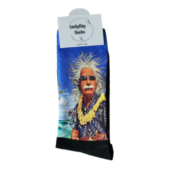 Computer Einstein Hawaii 