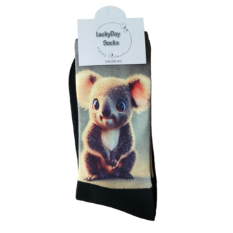 Computer Koala