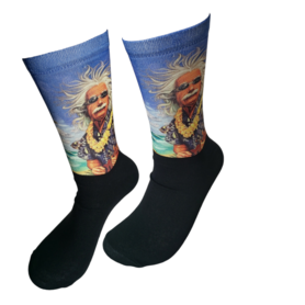 Computer Einstein Hawaii 